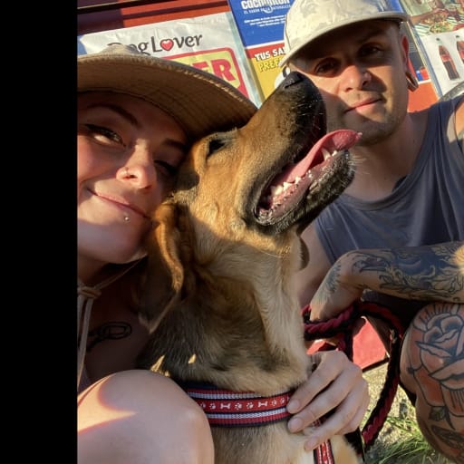 Profile image for pet sitters valentina & Rodolfo