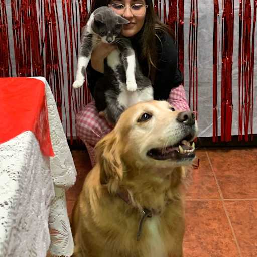 Profile image for pet sitter Camila