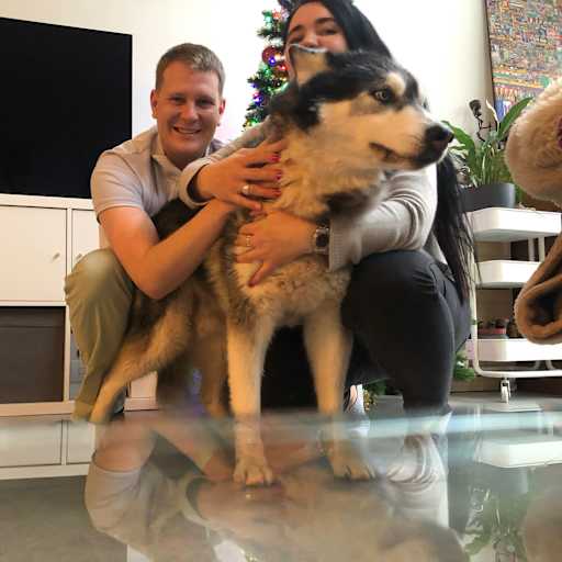 Profile image for pet sitters Tamara & Benjamin