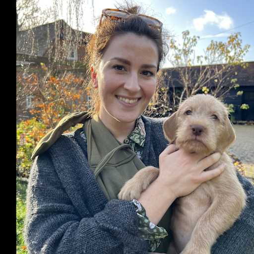 Profile image for pet sitter Chloe