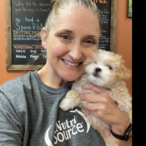 Profile image for pet sitter Casey