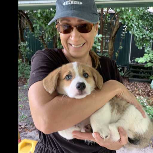Profile image for pet sitter Jennifer
