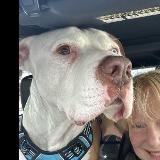 Profile image for pet sitters Emily & Stuart