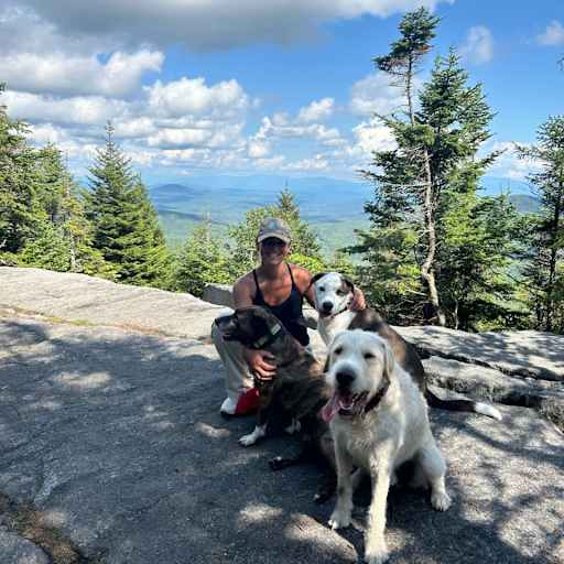 Profile image for pet sitter Kimberly