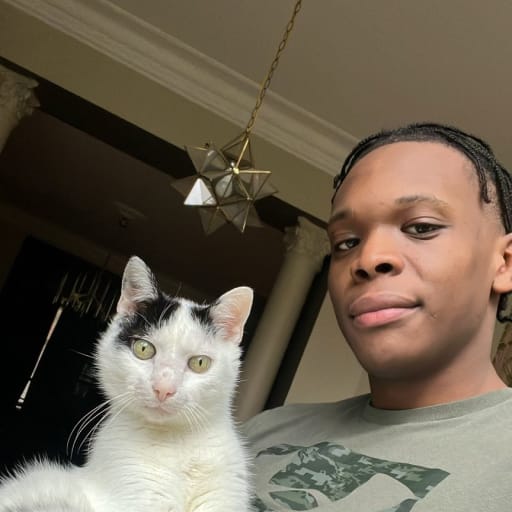 Profile image for pet sitter Moussa