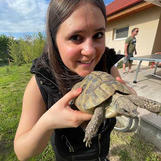 Profile image for pet sitters Dorottya Dóra & Sinka 