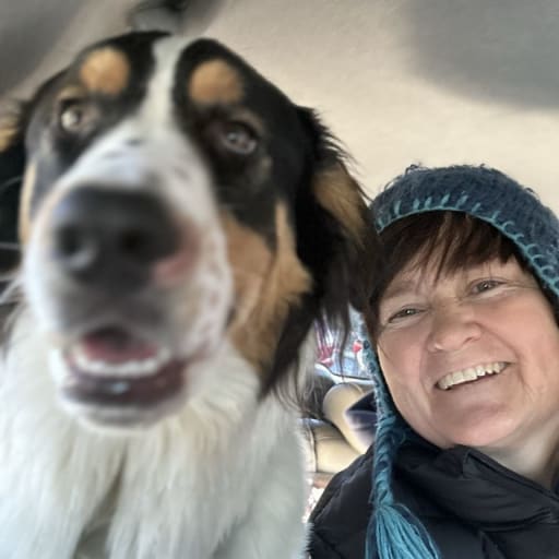 Profile image for pet sitter Denise Kelly