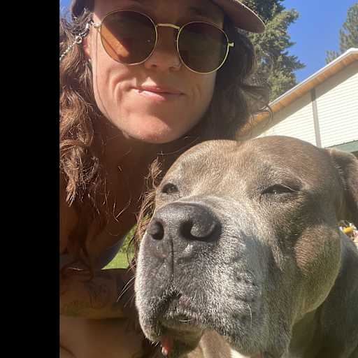 Profile image for pet sitter Bailey