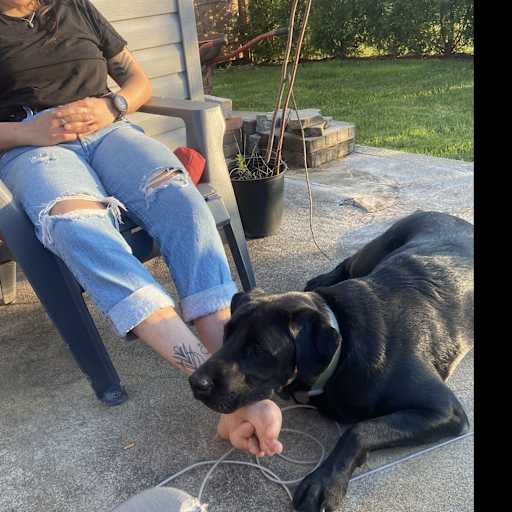 Profile image for pet sitter Marika