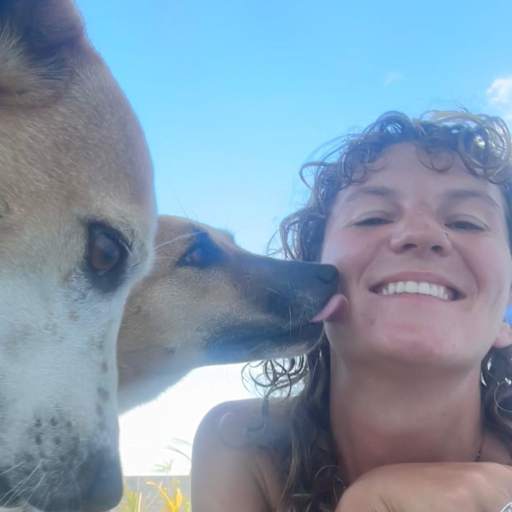 Profile image for pet sitter Poppy