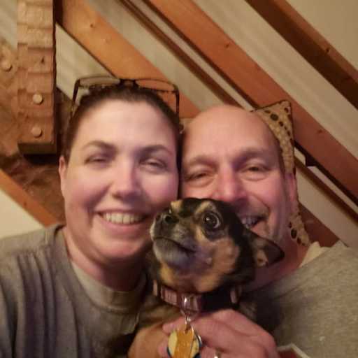 Profile image for pet sitters TRACY & Nicholas