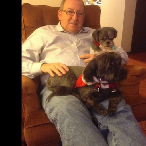 Profile image for pet sitter Kim David