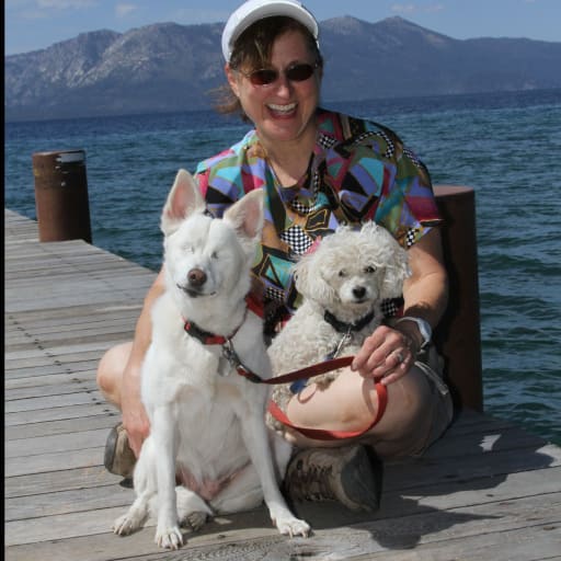 Profile image for pet sitter Andrea