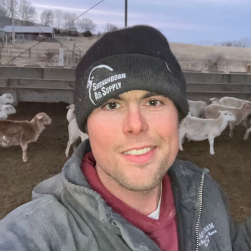 Profile image for pet sitter Nathan