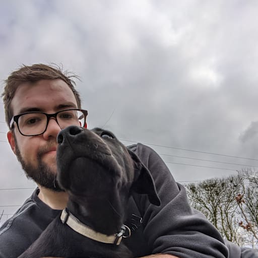 Profile image for pet sitter Fergus
