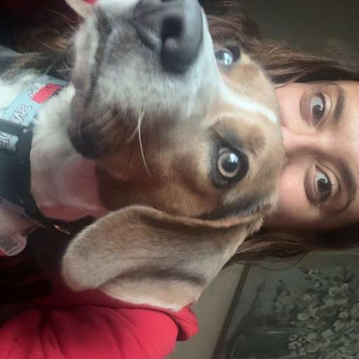 Profile image for pet sitter Natalie