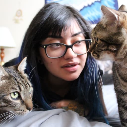 Profile image for pet sitter Sofia