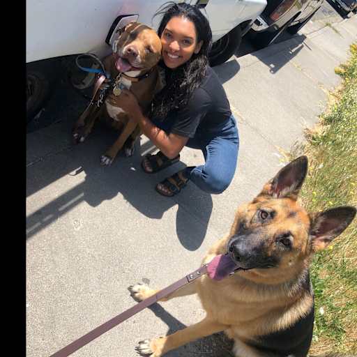 Profile image for pet sitter Sakia