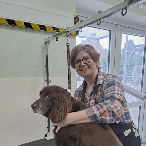 Profile image for pet sitter Sandy