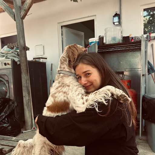 Profile image for pet sitter Lotte