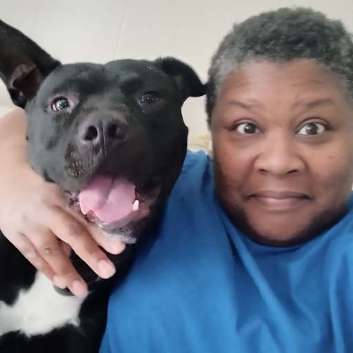 Profile image for pet sitter Kenya