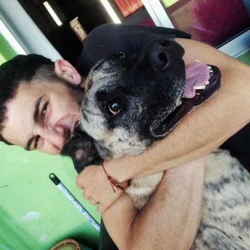 Profile image for pet sitter Gonzalo