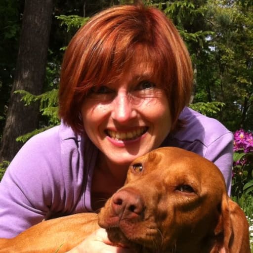 Profile image for pet sitter Martina