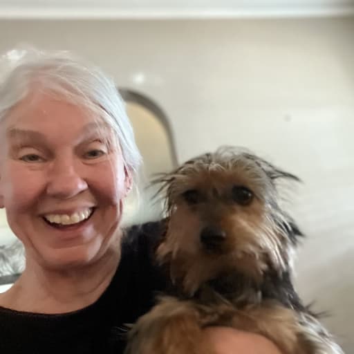 Profile image for pet sitters Millie & Lexie