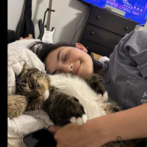 Profile image for pet sitter Heaven