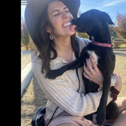 Profile image for pet sitter Sara