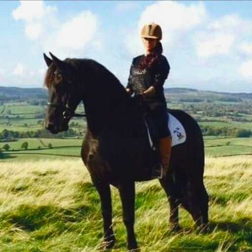 Profile image for pet sitter tammy