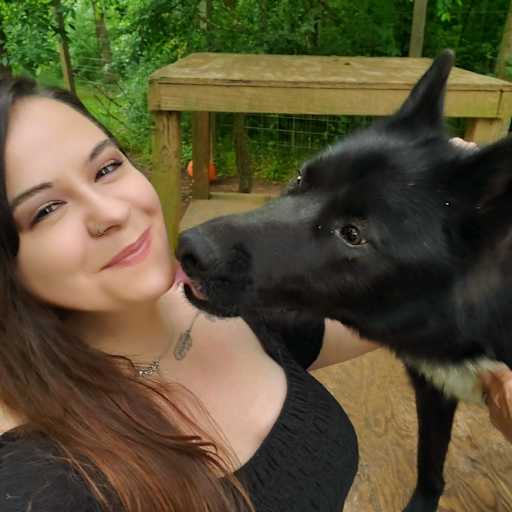 Profile image for pet sitter Tiffany