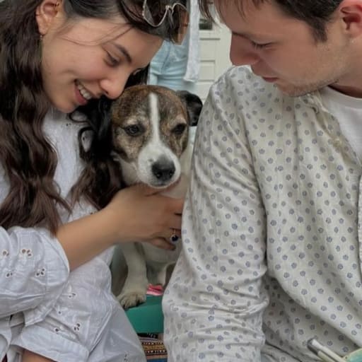 Profile image for pet sitters Lily & Tjipke