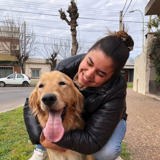 Profile image for pet sitter Sofi