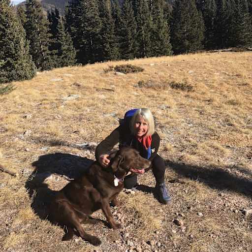 Profile image for pet sitter Barbara