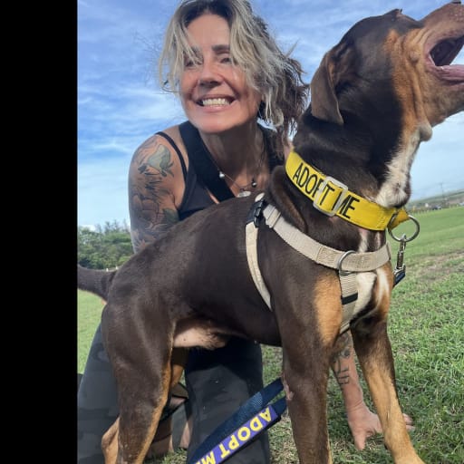 Profile image for pet sitter Leanne