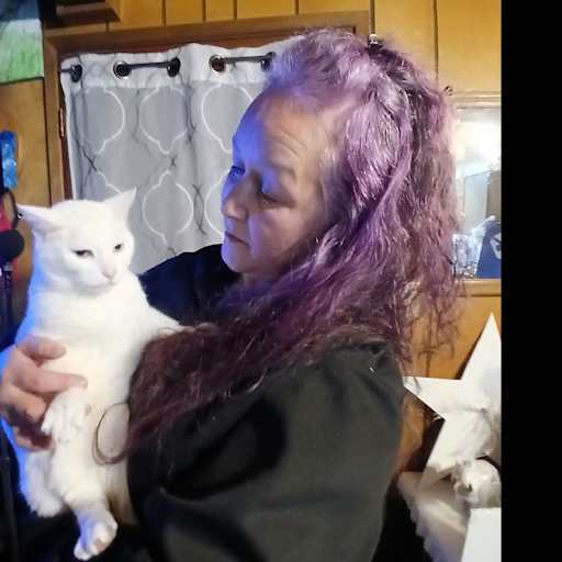 Profile image for pet sitter Christy