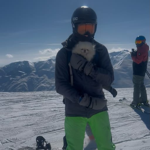 Profile image for pet sitter Ivan