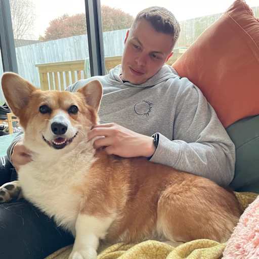 Profile image for pet sitter Hamish