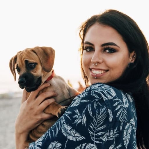 Profile image for pet sitter tallia