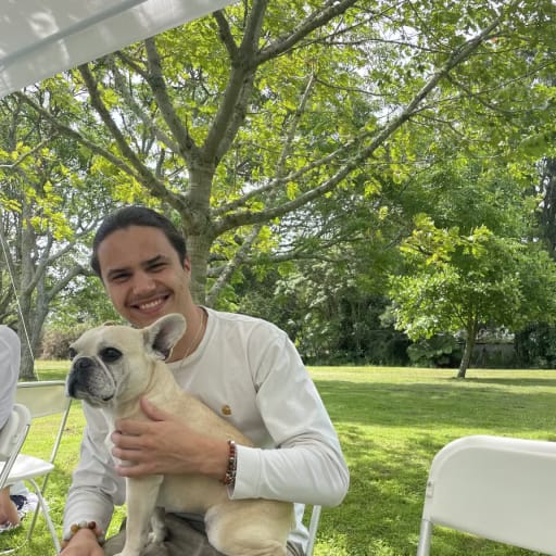 Profile image for pet sitter Callum