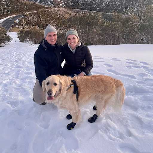 Profile image for pet sitters Alix & Brandon