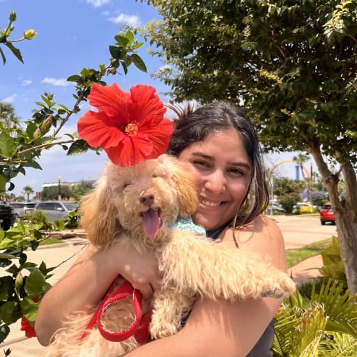 Profile image for pet sitters Karla & Leticia