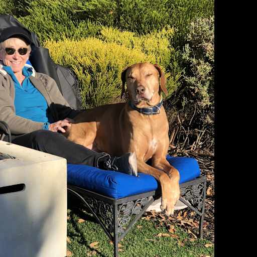 Profile image for pet sitters Tanya & Robert