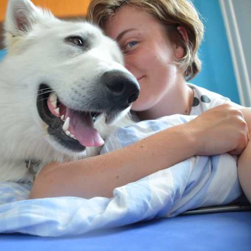 Profile image for pet sitters Denisa & Dayana