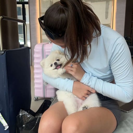 Profile image for pet sitters jasmine & Lewis 