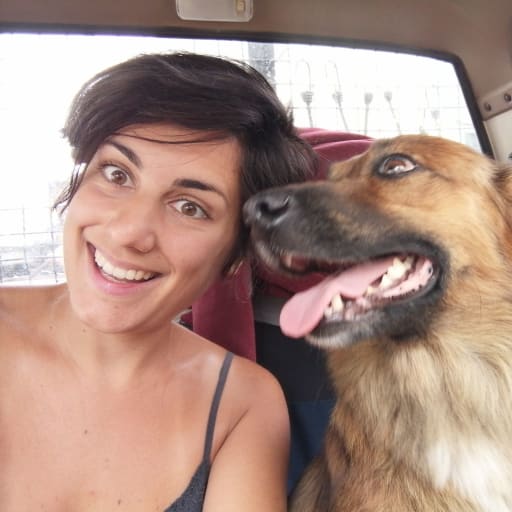 Profile image for pet sitter Joana