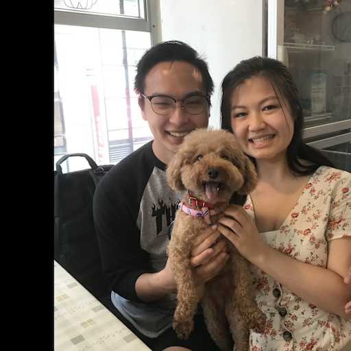 Profile image for pet sitters Jancis & Jay