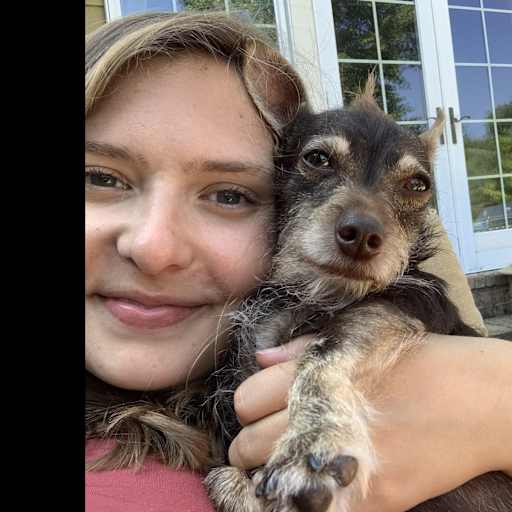Profile image for pet sitter Tabatha