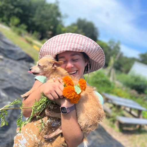 Profile image for pet sitter Dani